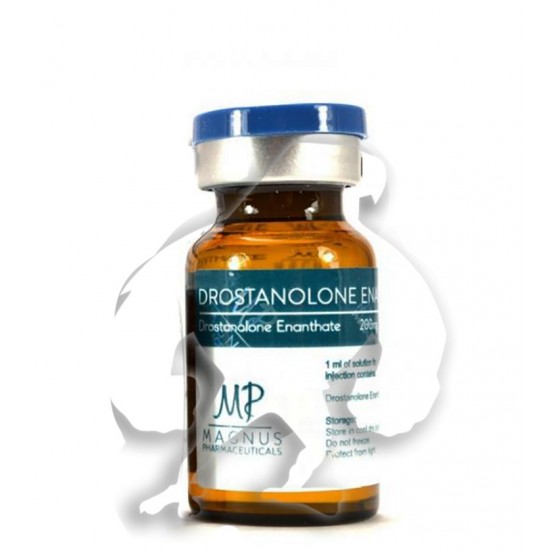 Drostanolone Enanthate Magnus (10 ml) 